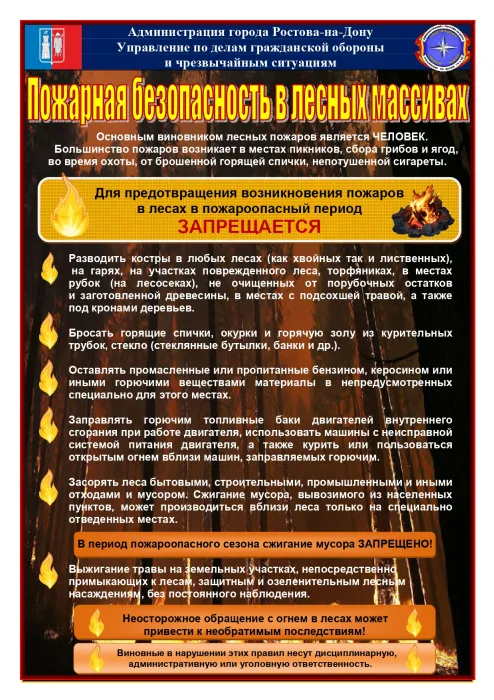 Лесные пожары