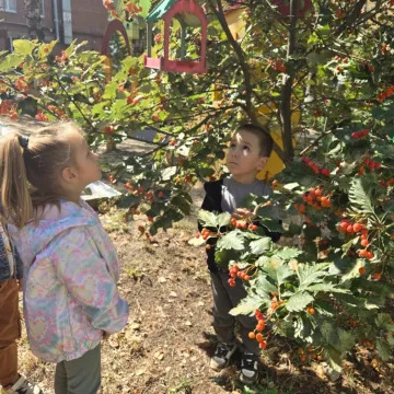 "Увлекательное наблюдение за природой"