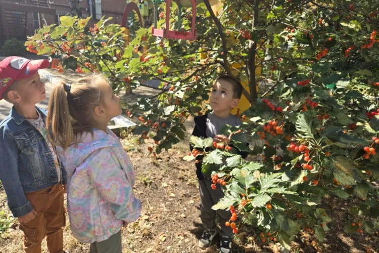 "Увлекательное наблюдение за природой"